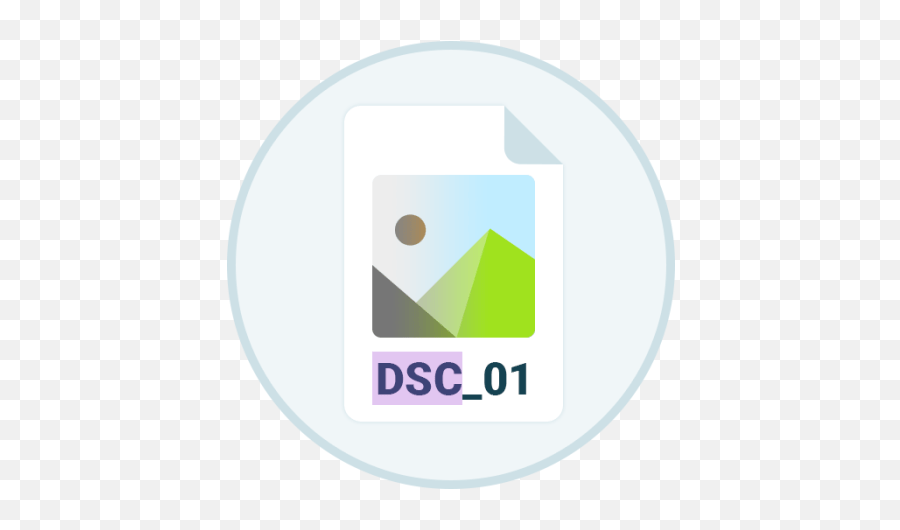 Get Dsc Auto Rename Apk App For Android - Vertical Png,Dsc Icon