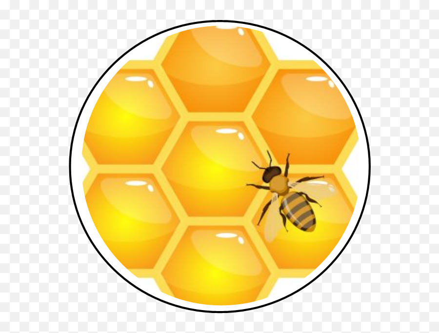 Backyard Bees Nyc U2013 Skin Sweetnessu2026inspired By Nature - Honey Bees Png,Free Bee Icon
