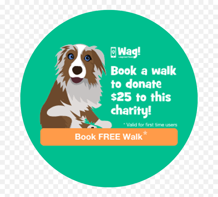 Donate - Queen City Bulldog Rescue Png,Australian Shepherd Icon