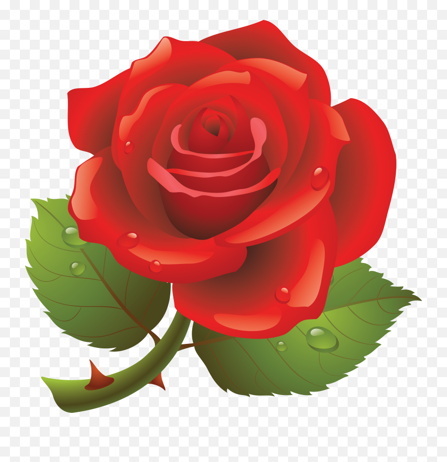 Rose Clipart Transparent Background - Red Rose Happy Rose Day Png,Rose Clipart Transparent Background
