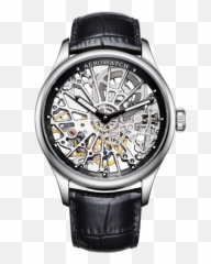 Skeleton Cobweb - Aerowatch png