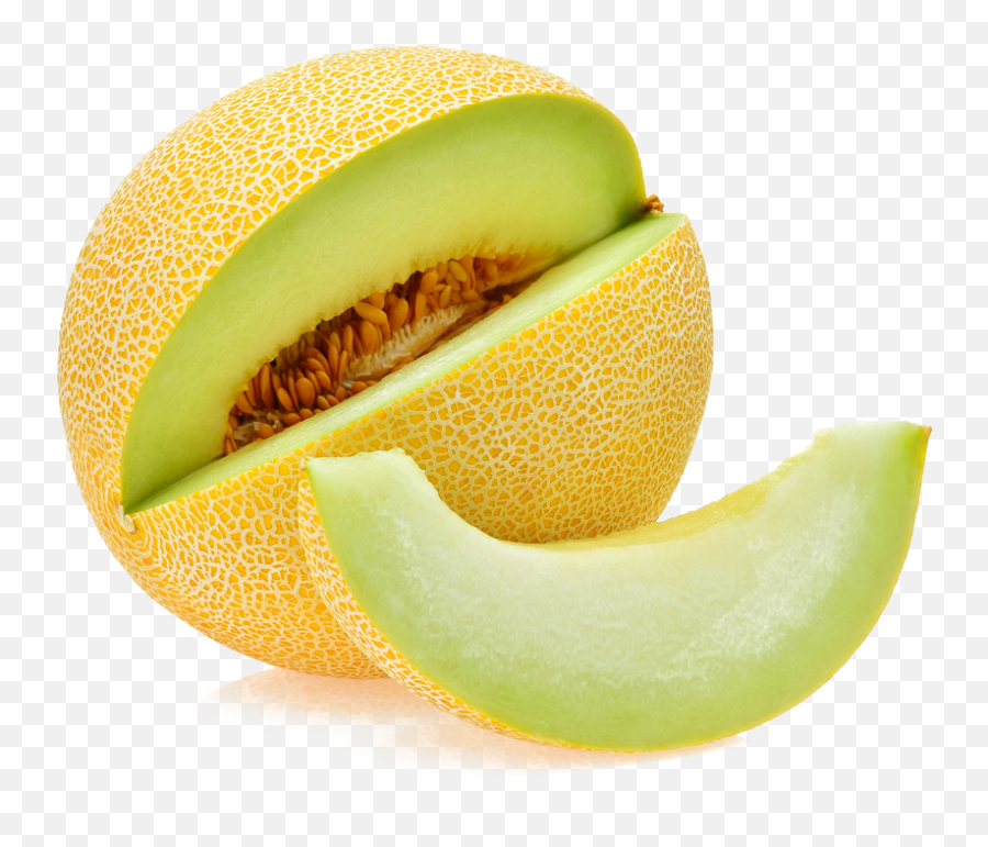 Cantaloupe Melon - Melon Galia Png,Cantaloupe Png