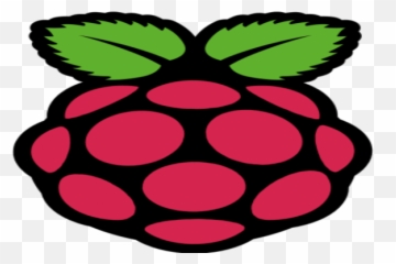 Reconpi A Lightweight Tool That Performs Extensive - Logo Raspberry Png