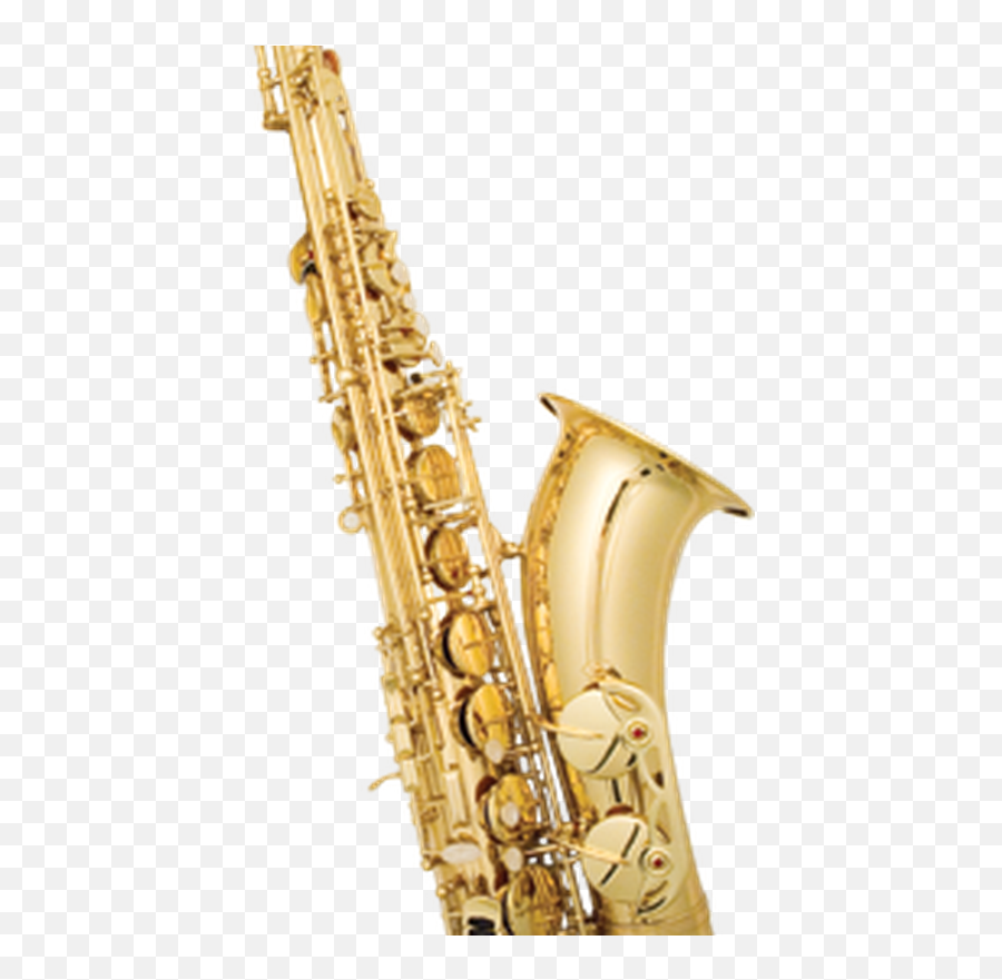 The Tenor Saxophone By Wabagee Goulash - Tenor Saxophone Instrument Png,Buffet Icon Mouthpiece