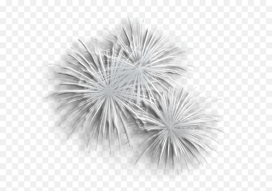 Fireworks Clipart White Background - Transparent Background White Fireworks Png,Fireworks Transparent Background