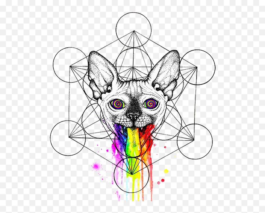 Unicorn Girl Galaxy Version Psyca - Psychedelic Sphynx Cat Art Png,Deviantart Icon Sizes For Folders