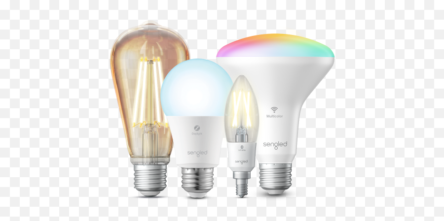 Bulbs - Incandescent Light Bulb Png,Light Bulbs Icon