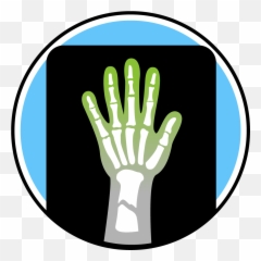 Glowworm Pediatrics The Best Pediatrician In Hutto - Sign Language png