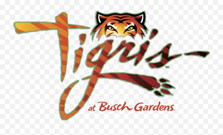 Tigris Logo Inside Universal - Busch Gardens Tampa Bay Png,Universal Studios Logo