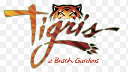 Tigris Logo Inside Universal - Busch Gardens Tampa Bay png