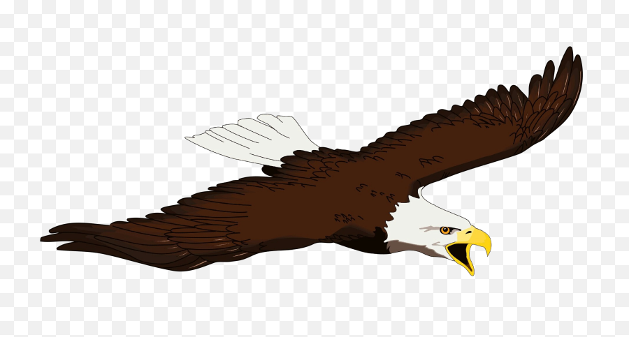 Eagle Clipart Free - Eagle Brown Transparent Png,Bald Eagle Transparent