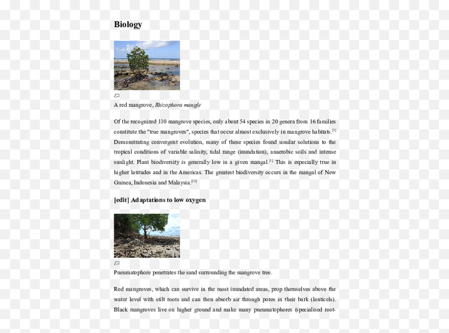 Biology Of Mangrove - Tree Png,Mangrove Png
