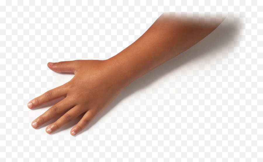Back Of Hand Png Picture - Transparent Back Of Hand,Back Of Hand Png