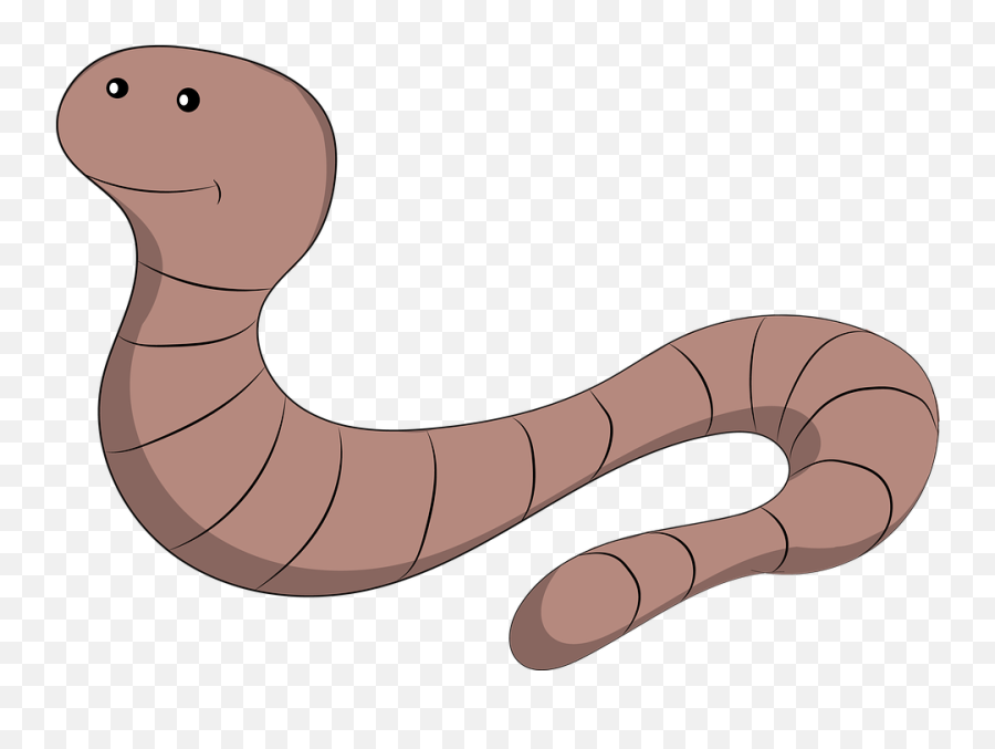 Earth Worm Earthworm - Worm Meaning Png,Worm Png