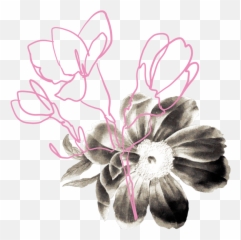 Toronto Flower Market - Artificial Flower Png,Florals Png