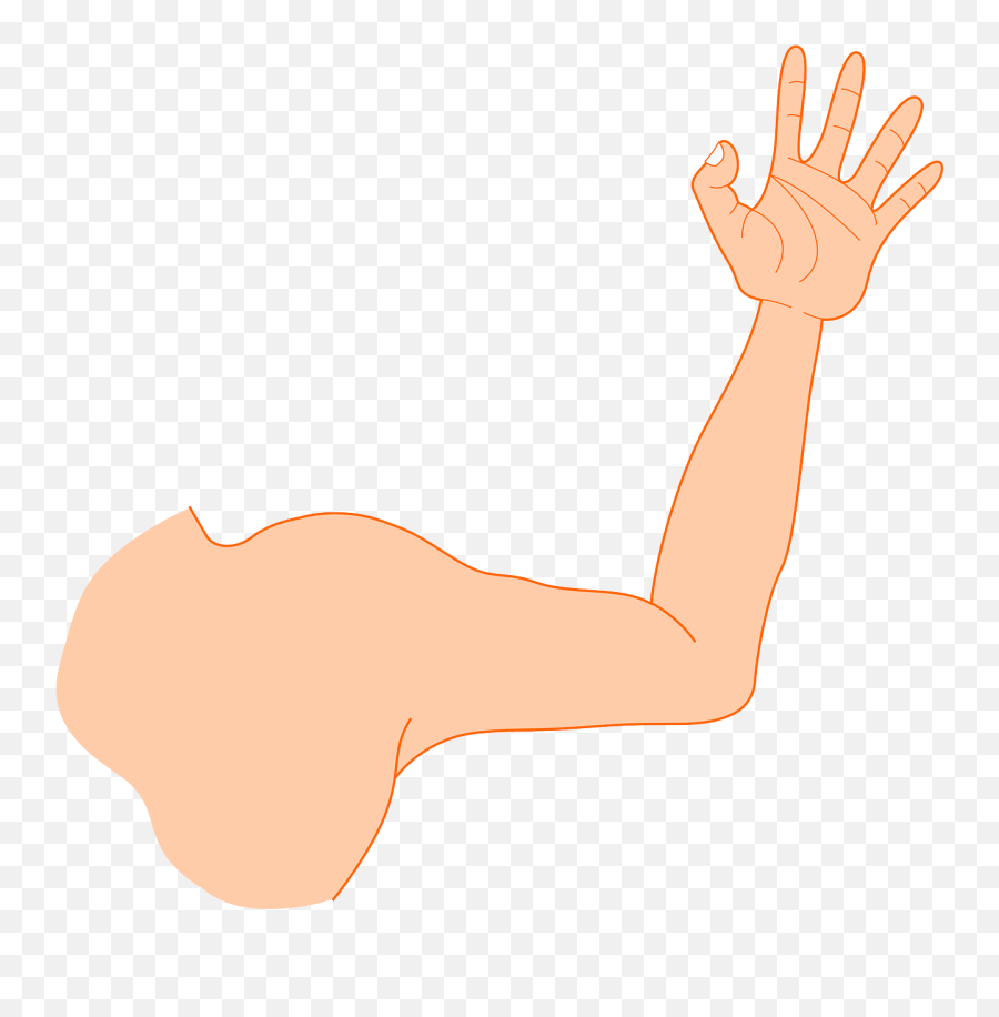 Hand Arm Man Strong - Arm Left Clipart Png,Muscle Arm Png