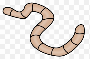Worm Clipart Transparent - Png