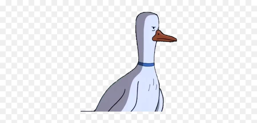 Mr Goose Adventure Time Wiki Fandom - Adventure Time Duck Png,Goose Png