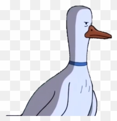 Mr Goose Adventure Time Wiki Fandom - Adventure Time Duck Png,Goose Png
