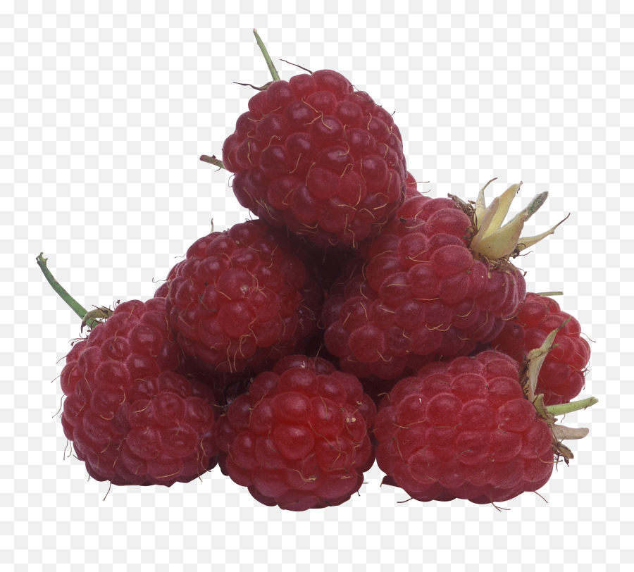 Raspberry Transparent Png - Raspberry,Raspberries Png