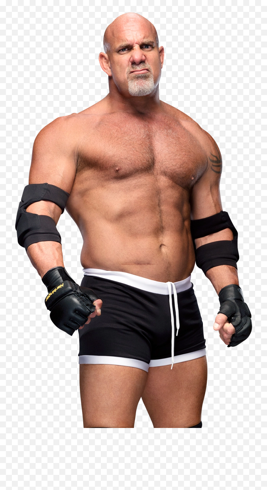 Download Free Png Bill Goldberg - Goldberg Png,Goldberg Png