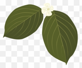 Download Dogwood - Clip Art Png,Dogwood Png