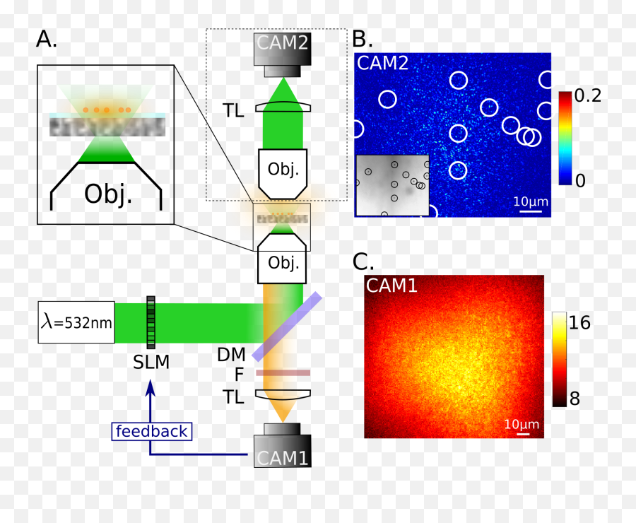 Non - Invasive Light Focusing In Scattering Media Using Diagram Png,Speckles Png