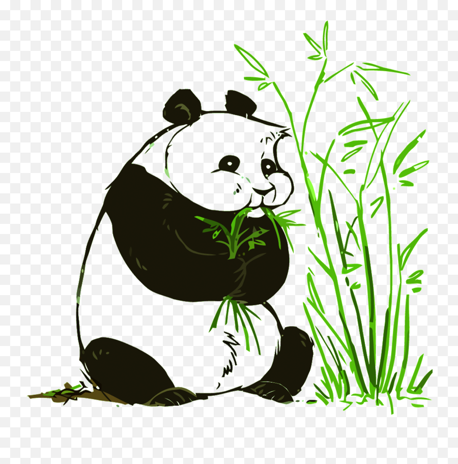 Giant Panda Red Bear Illustration - Giant Panda Giant Panda And Red Panda Png,Red Panda Png