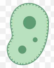Bacteria Icon - Free Download PNG and Vector Microorganisms Png