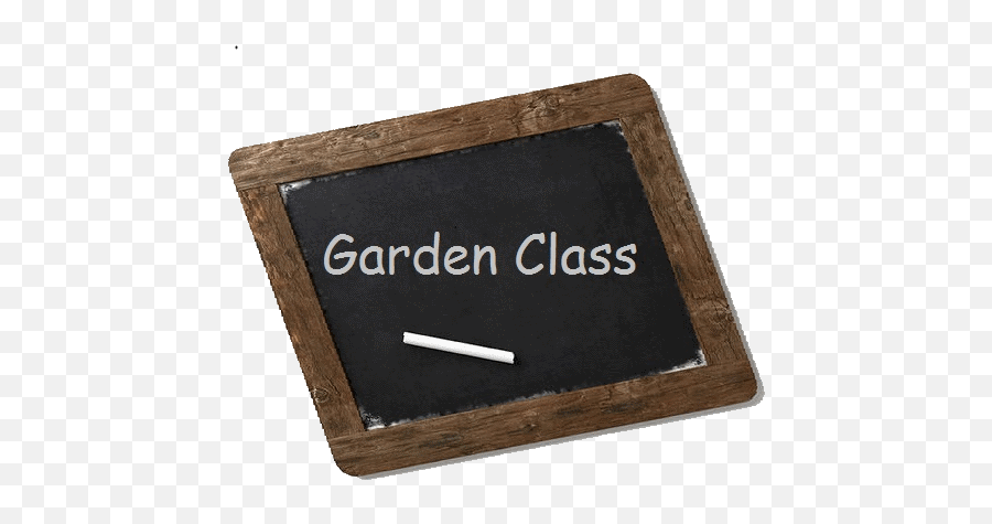 Download Garden Class Blackboard - First Class Teacher Genius R Us Png,Chalkboard Png