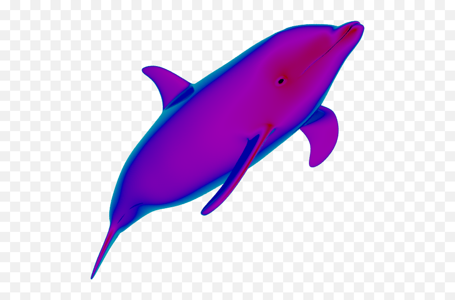 Dolphin Gif No Background Png Vaporwave Transparent