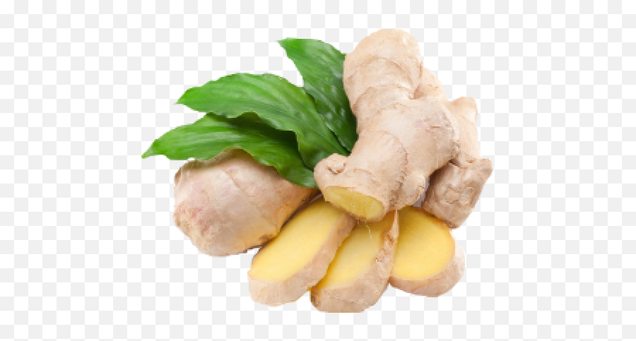 Ginger Essential Oil 2044553 - Png Images Pngio Ginger Inji,Essential Oil Png