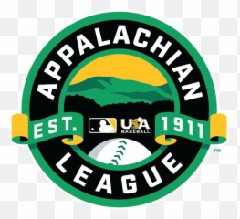 Pulaski River Turtles Appalachian League Mlbcom - Appalachian League Png,Black Desert Marketplace B Icon? How To Place Bid In Bdo