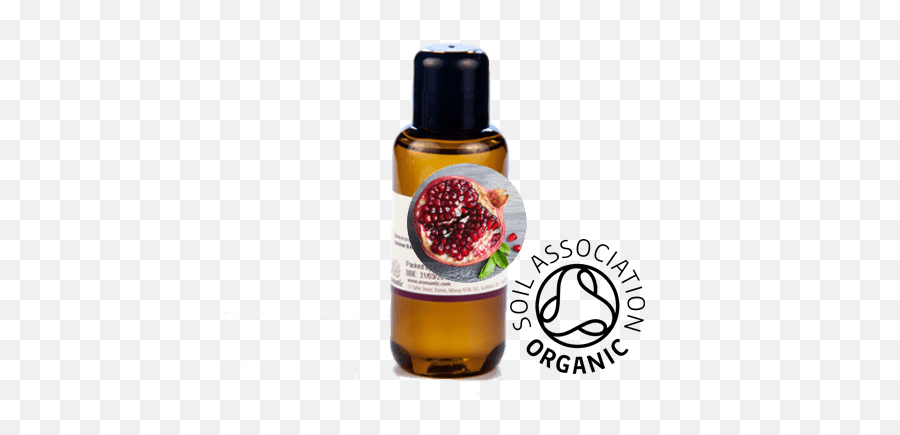 Organic Pomegranate Seed Oil - Calophyllum Inophyllum Tamanu Oil Png,Pomegranate Transparent
