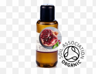Organic Pomegranate Seed Oil - Calophyllum Inophyllum Tamanu Oil Png,Pomegranate Transparent