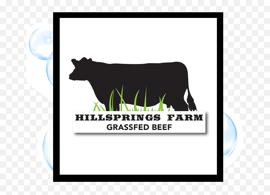 Branding - Logodesignportfolio Thirsty Fish Graphic Design Dairy Cow Png,Cow Logo