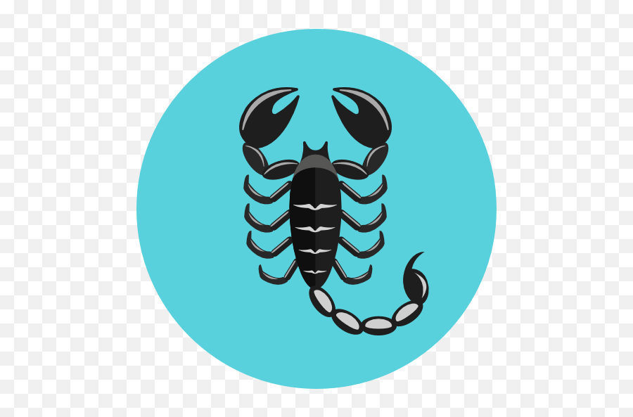 August 20th 2019 Scorpio Daily Horoscope For Today - Kasm Ay Burç Akrep Png,Scorpio Png