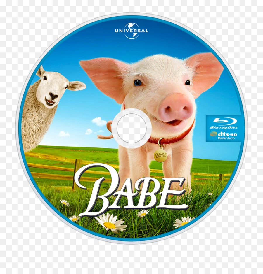 Babe Movie Fanart Fanarttv - Animal Figure Png,Babe Icon