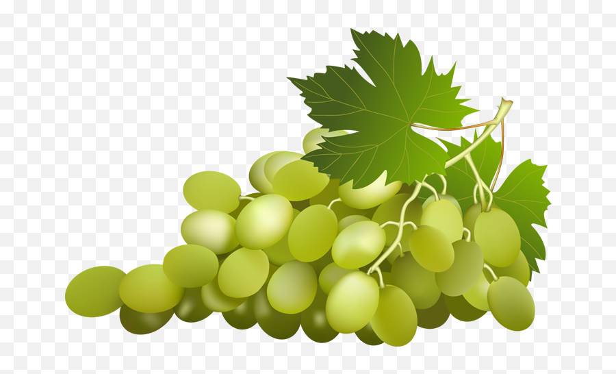 Grape Free Png Image - Green Grapes Clip Art,Grapes Png