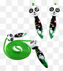Skipping Rope - Sauterelle Panda Corde A Sauter Panda Png,Jump Rope Png