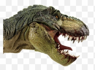 Download Free Png T Rex File - Prehistoric Animals