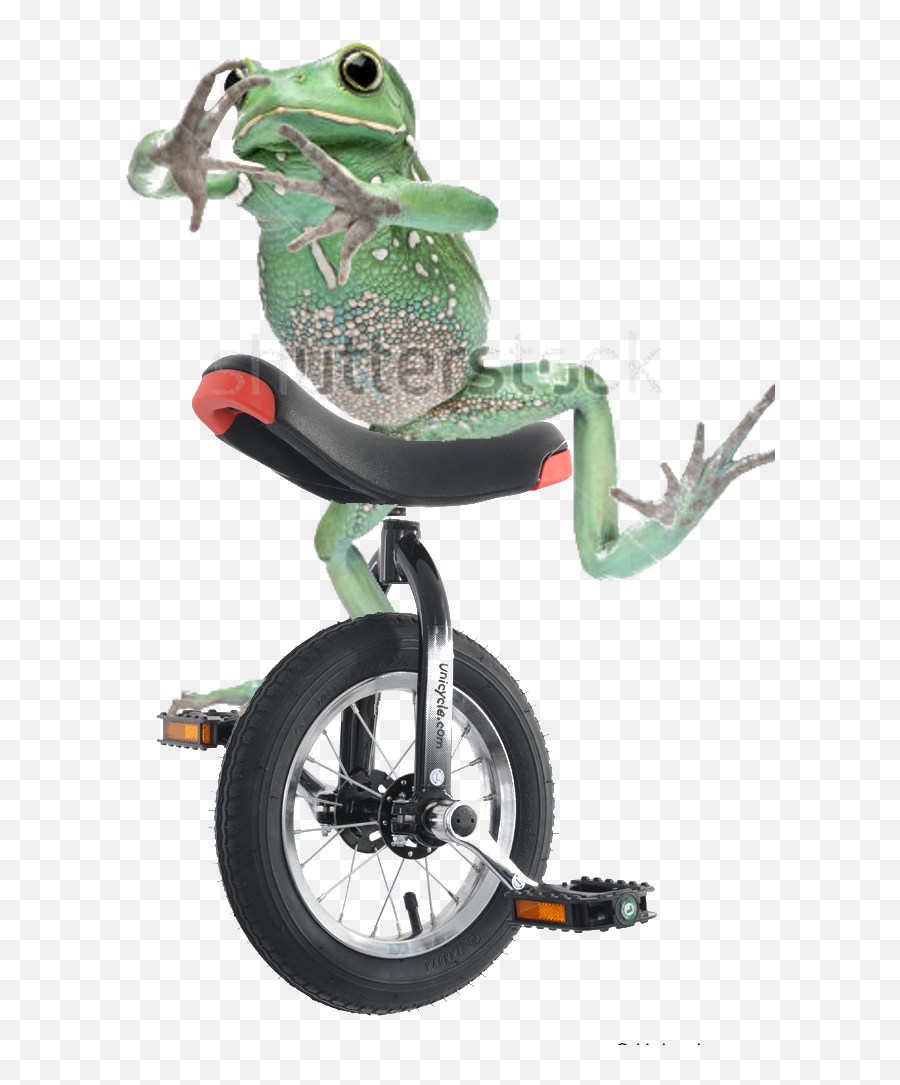 Dankmemes - Hyper Realistic Dat Boi Png,Dat Boi Png