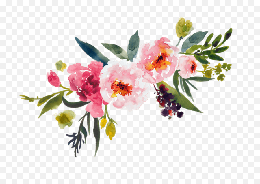 Library Of Watercolor Flower Picture - Watercolor Flowers Transparent Background Png,Florals Png