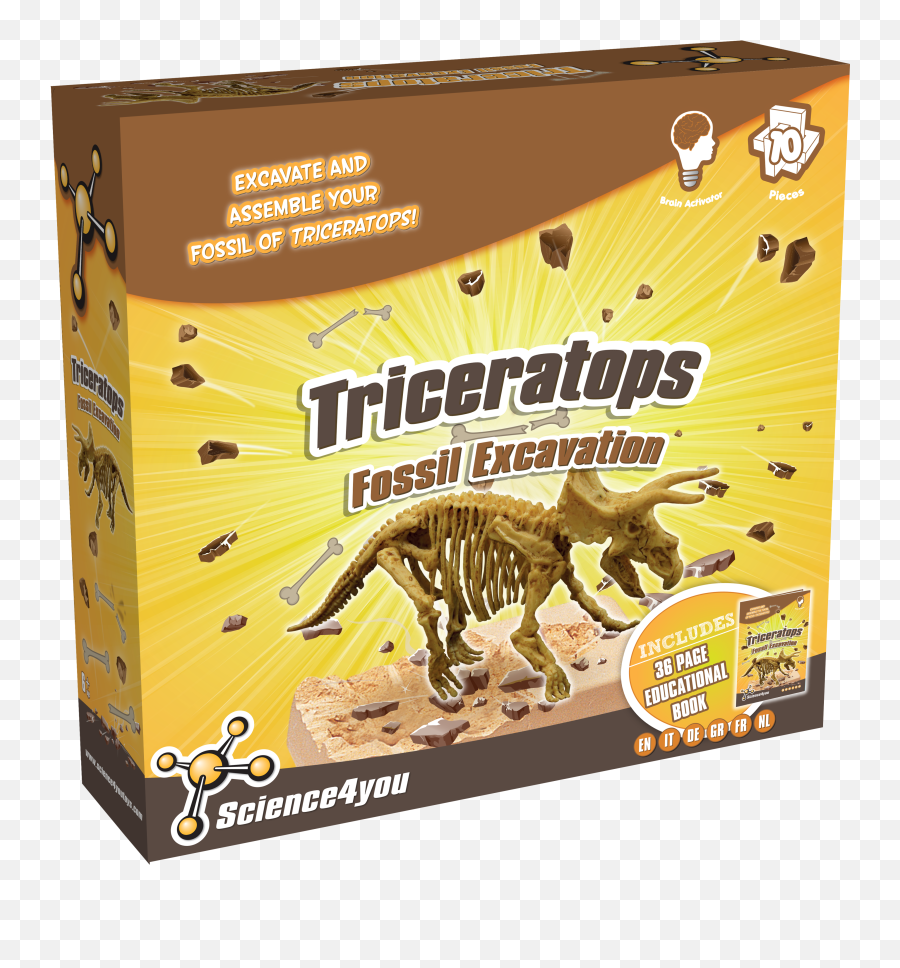 Download Fossil Excavation Triceratops - Full Size Png Image Excavaciones Triceratops Science4you,Fossil Png