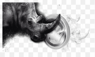 Rhino Coin Competition - Black Rhinoceros png