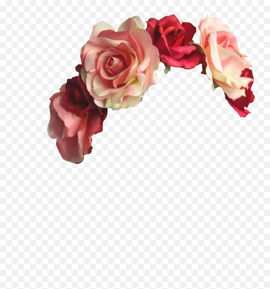 About Flower In Transparent Images - Flower Crown Png,Flower Crown Transparent
