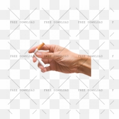 Nails Color Png Images Transparent - Nail Polish Hand Png,Nail ...