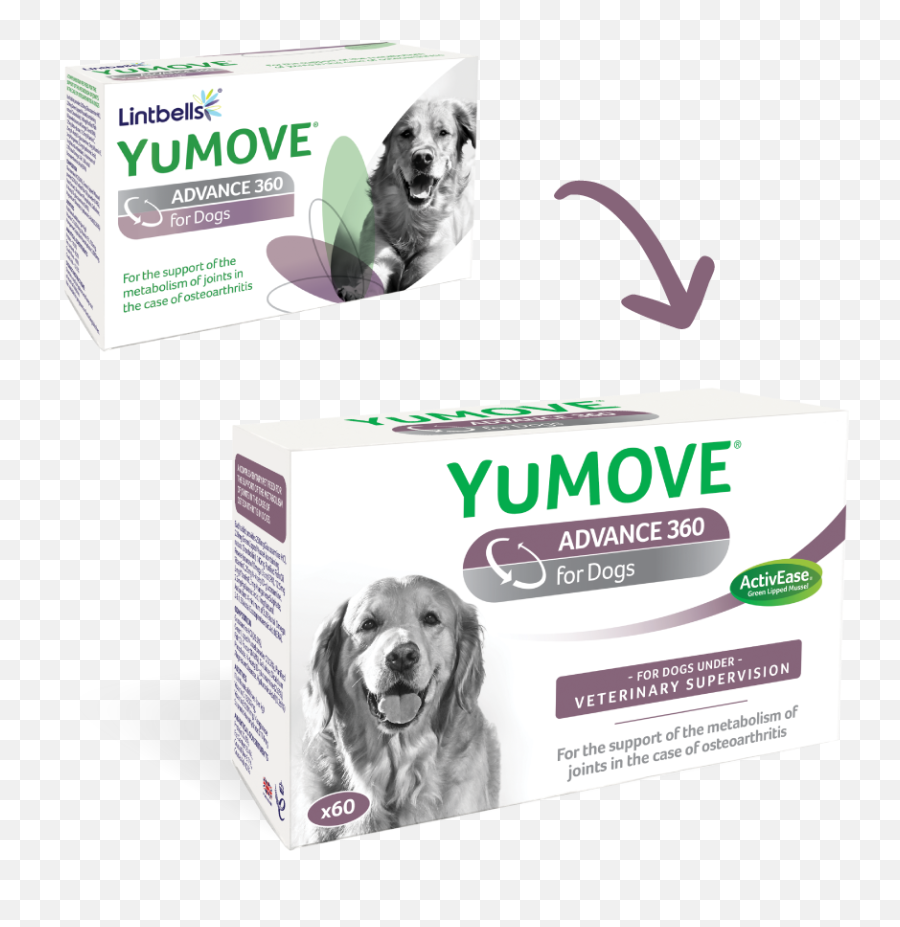 Yumove Advance 360 For Dogs - Lintbells Veterinary Lintbells Yumove Advance 360 Png,Dogs Transparent