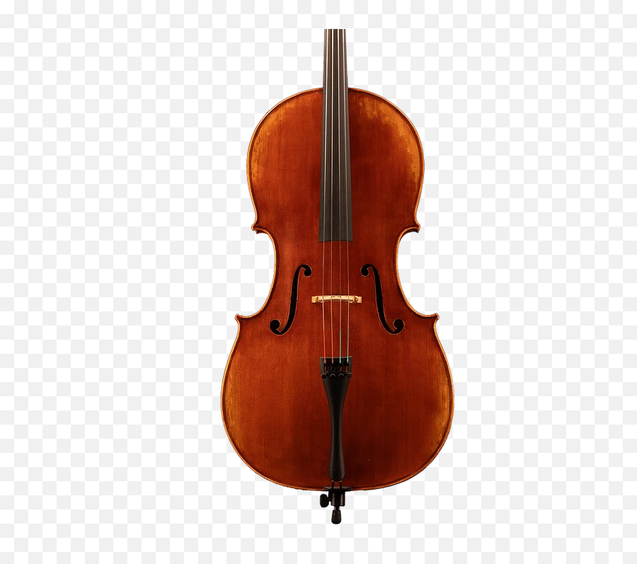 Advanced Cellos List Adam Day Violins - John Cheng Paganini Violin Png,Violin Png