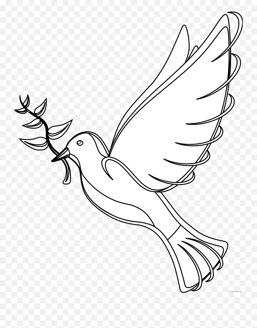 White Dove Coloring Pages Best Printable - Birds Drawing For School Png,White Dove Png